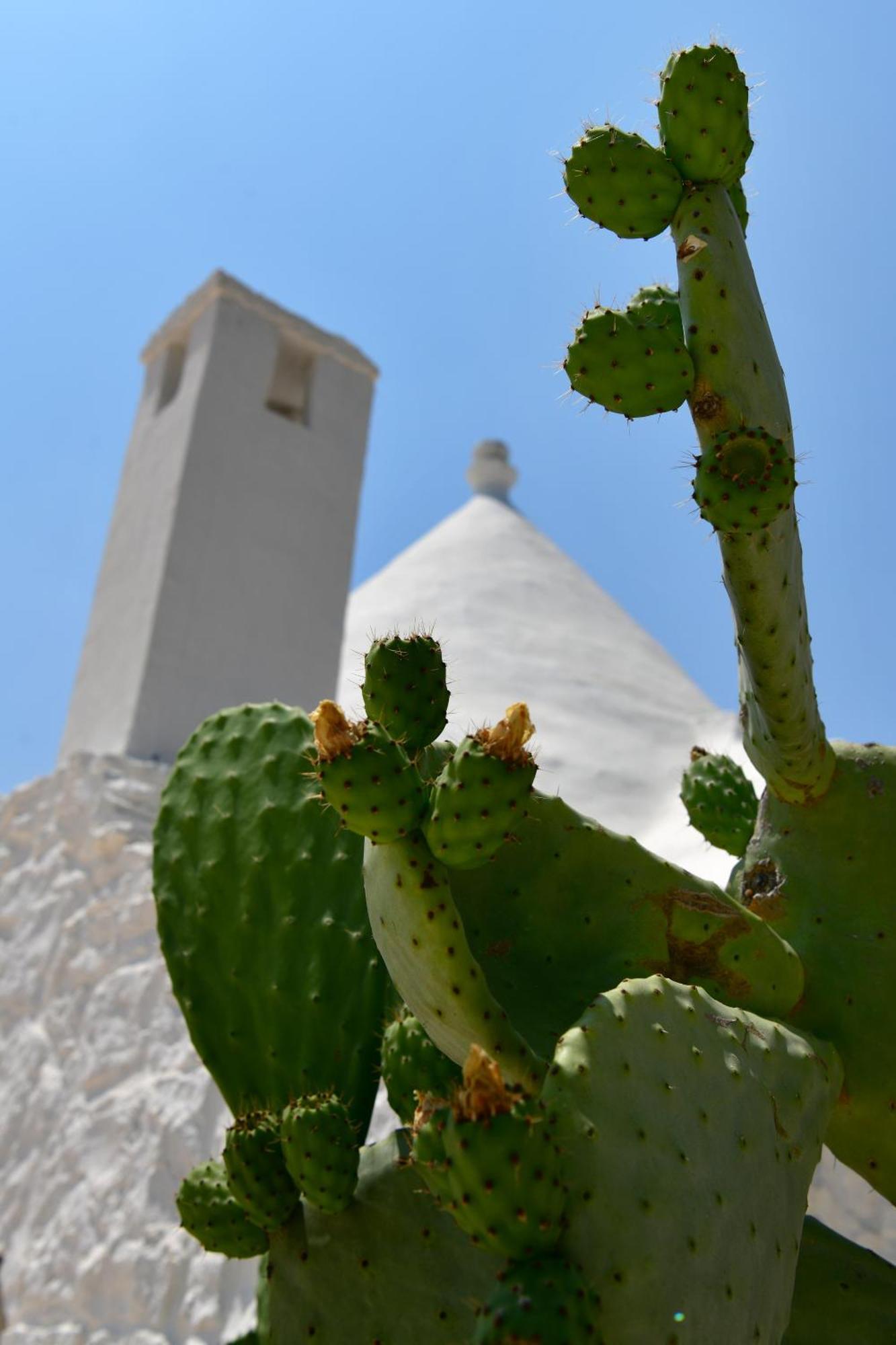 Il Trullo Bianco - Country House & Spa Кастелана Гроте Екстериор снимка